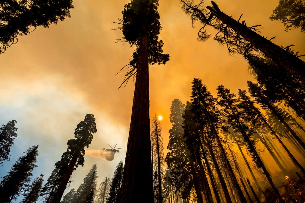 APTOPIX Western Wildfires (ASSOCIATED PRESS)