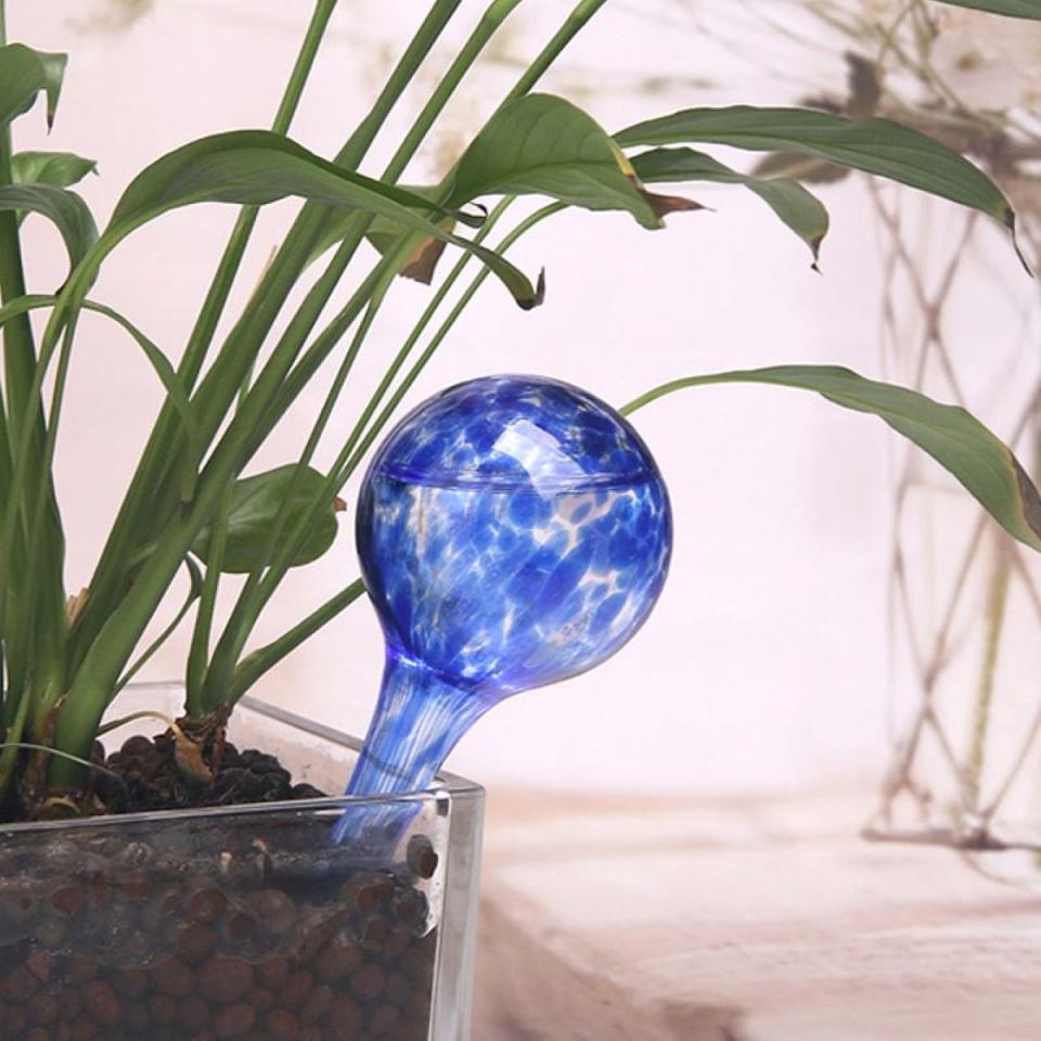 Garden watering globe