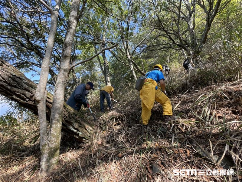 森管員頂著高溫救火，不只汗流浹背，渾身更是沾滿灰燼。（圖／東勢林管處提供）