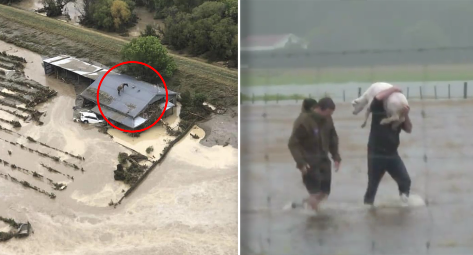 Left - an aerial shot of a horse on a roof with a red circle around it. Right - a person carrying a sheep through flood waters.