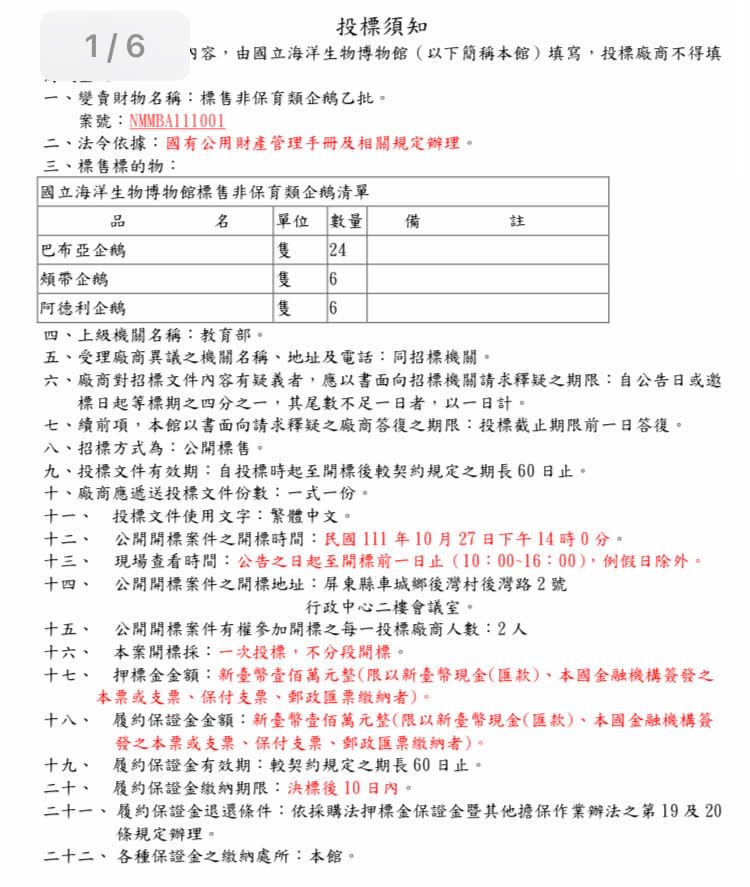 國立海洋生物博物館「標售36隻企鵝」！投標資格曝　網嗨：一起團購