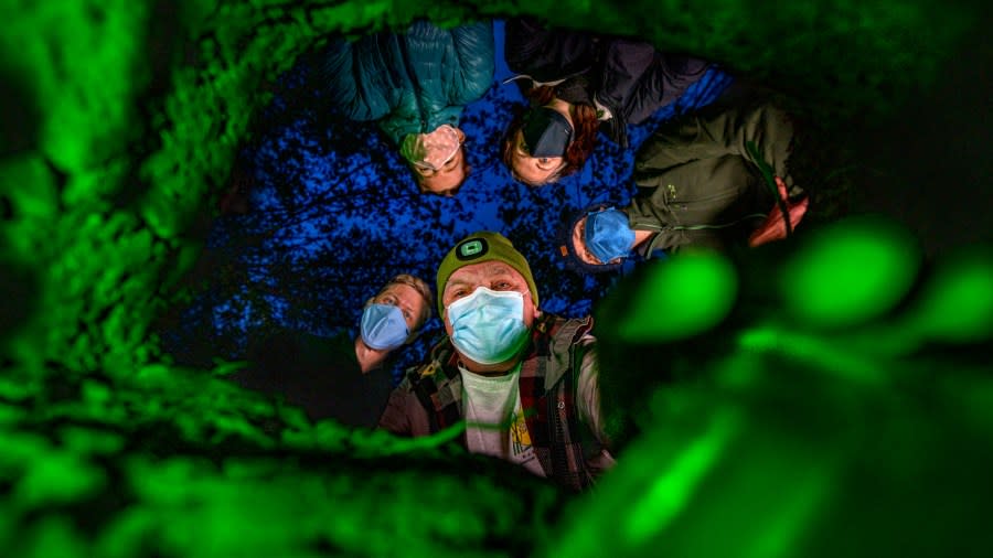 Five researchers look down the hole and toward the camera at their dig site.