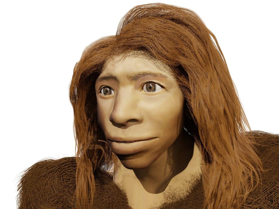 A computer illustration of an ancient Denisovan wearing fur.