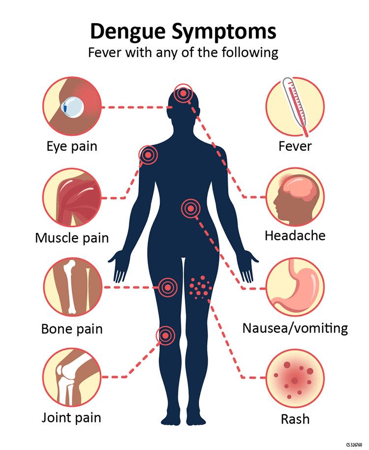 Fever of someone with dengue fever.