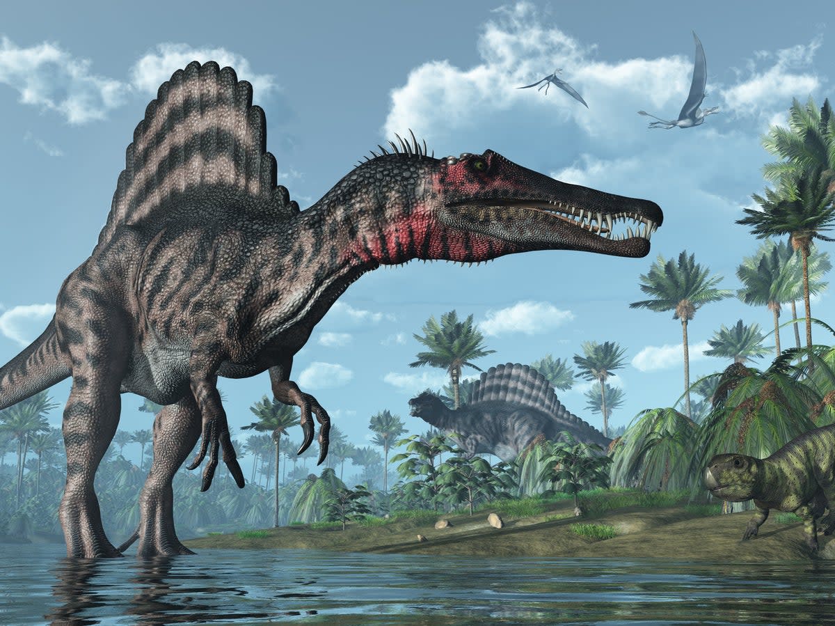 Spinosaurus were well-adapted to life in and out of water, palaeontologists have recently learned (Getty/iStockphoto)