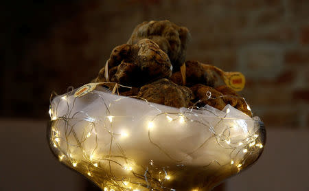 Truffles are pictured before the international auction for truffles at the Grinzane Castle in Grinzane Cavour near Alba, northwestern Italy, November 12, 2017. REUTERS/ Stefano Rellandini