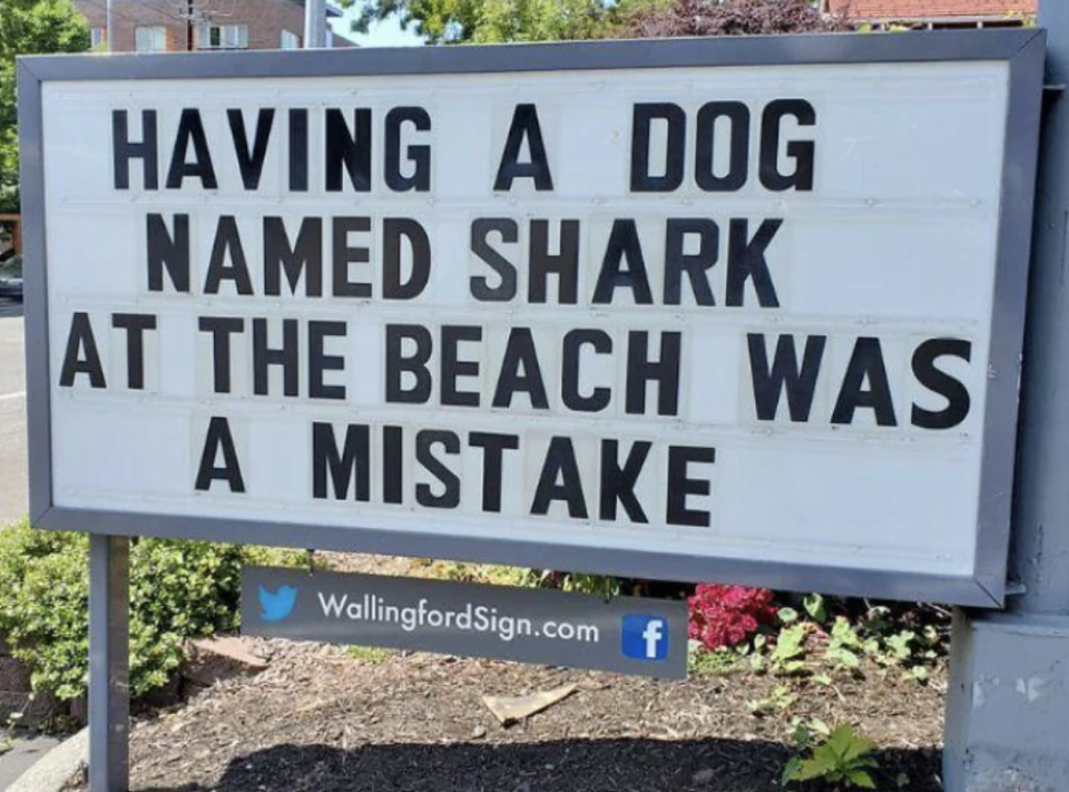 Sign humorously states having a dog named Shark at the beach was a mistake