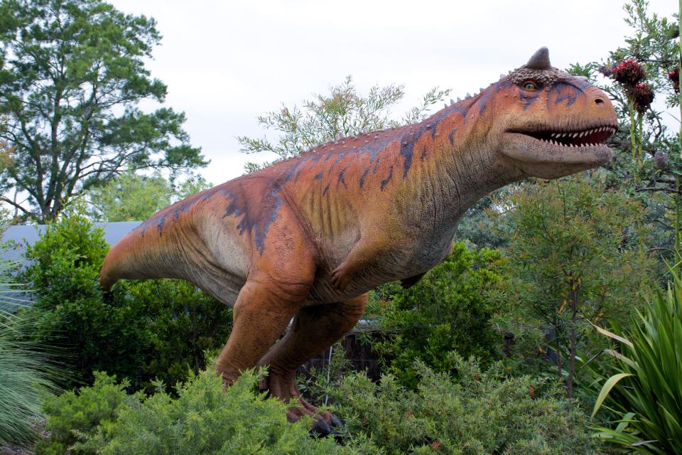 Visitors to the Main Library can come face-to-face with large-scale models of a Carnotaurus and other dinosaurs in a free, interactive exhibit on display through Oct. 30.