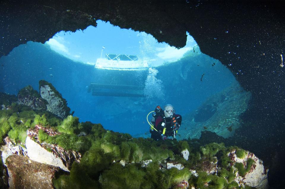 A diver enters the cavern in the main spring at Silver Springs. Nitrate pollution and reduced flow have spawned algae growth, compromising water clarity and quality.