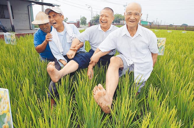 汪道涵之子汪致重撰文悼念無米樂崑濱伯。圖為2013年5月汪致重（右二）來台，與崑濱伯（左二）一起赤腳下田。（本報資料照片）