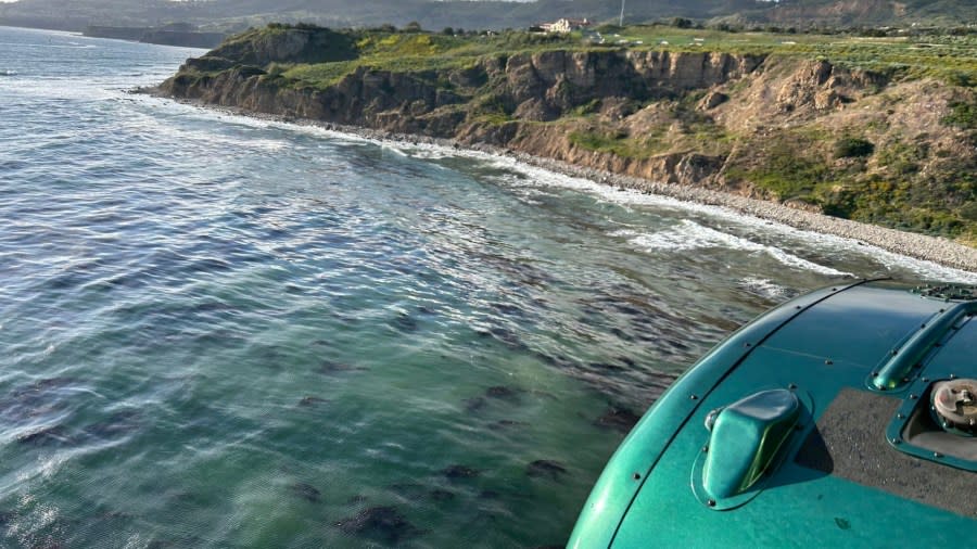 Pilot, dog swim to shore after ocean landing in SoCal