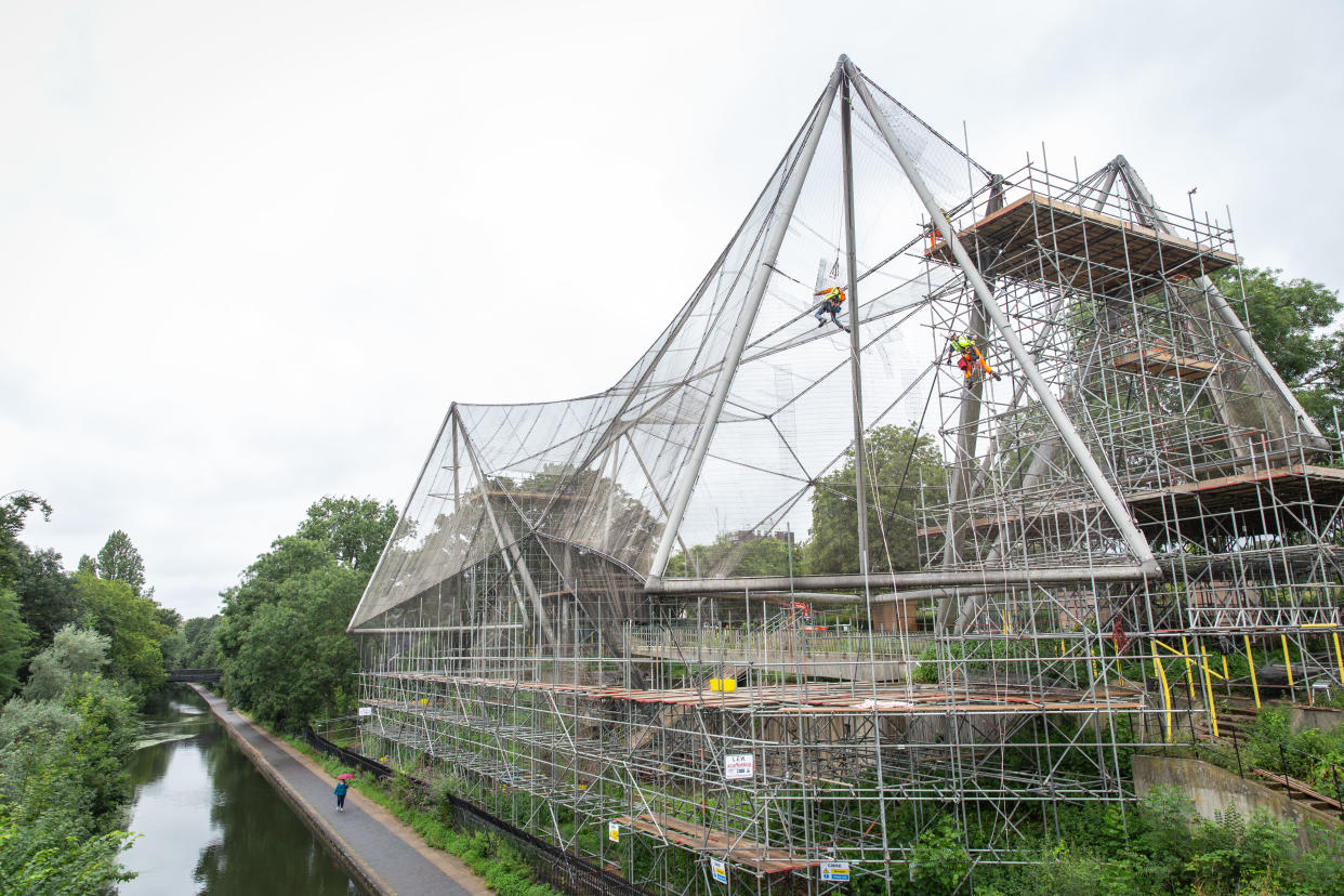 The demeshing of the Snowdon Aviary at London Zoo