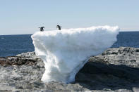 <p>Adelie penguins stand atop a block of melting ice on a rocky shoreline at Cape Denison, Commonwealth Bay, in East Antarctica, Jan. 1, 2010. (Photo: Pauline Askin/Reuters) </p>