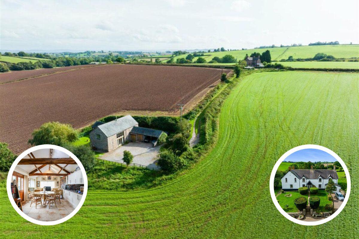 Duffryn Farm is on the market, with two cottages <i>(Image: Rightmove)</i>