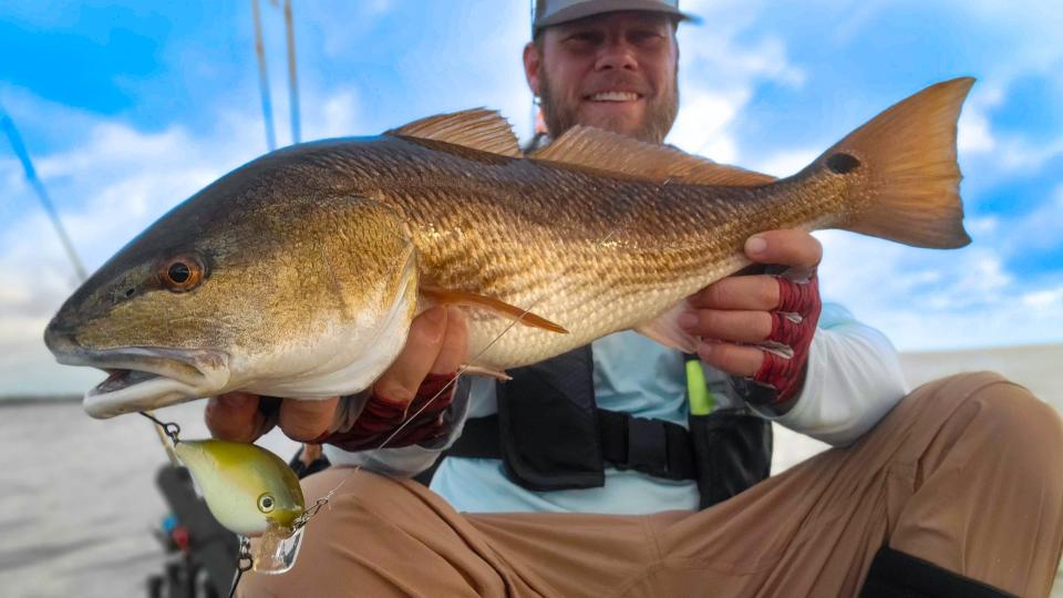 Matt Lanier holds a beautiful redfish caught this week in 2’-feet of water.