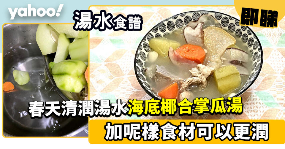 湯水食譜│海底椰合掌瓜湯 春天清潤湯水多呢樣更加好