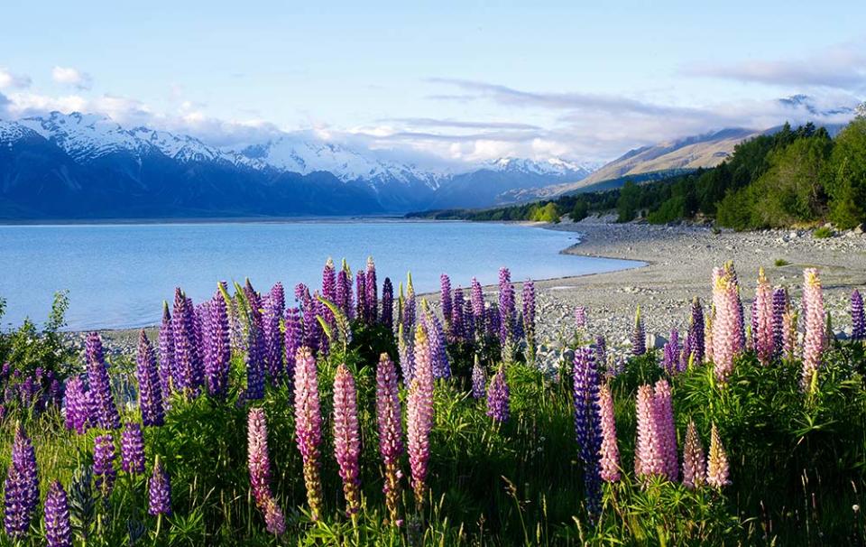 庫克山（Image Source : Getty Creative/iStockphoto）