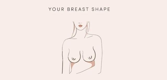 The 7 types of breast shapes, according to a lingerie brand - NZ Herald