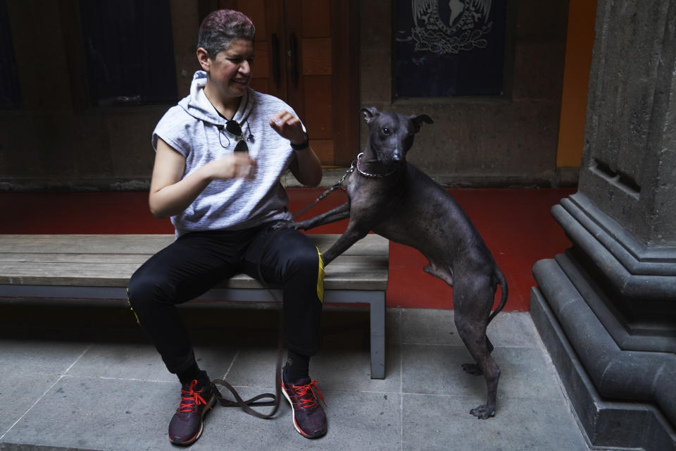 Nemiliz Gutiérrez está sentada junto a su perro de raza Xoloitzcuintle llamado Mezcal, durante una conferencia de prensa sobre el Xoloitzcuintle en el arte, en la Ciudad de México, el miércoles 25 de enero de 2023. (AP Foto/Marco Ugarte)