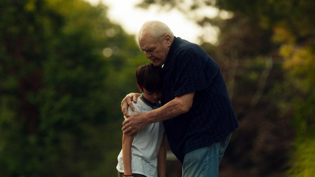 Two loners &mdash; a sensitive 8-year-old (Lucas Jaye) and a crusty Vietnam War veteran (Brian Dennehy) &mdash; forge a cross-generational friendship in &ldquo;Driveways,&rdquo; the lovely sophomore feature from director Andrew Ahn. The unlikely duo become temporary neighbors when the boy&rsquo;s single mother (Hong Chau, great as always) ventures to a small New York town to pack up her late sister&rsquo;s home. Over the course of 83 tranquil minutes, the three characters extend one another a generosity that chips away at each person&rsquo;s deep-seated solitude. At the close, the aging vet delivers a poignant monologue about wishing he hadn&rsquo;t let life&rsquo;s best moments pass him by &mdash; a heartbreaking but hopeful message that won&rsquo;t be lost on his impressionable young companion. <br /><br /><i>&ldquo;Driveways&rdquo; is available on VOD platforms. </i>