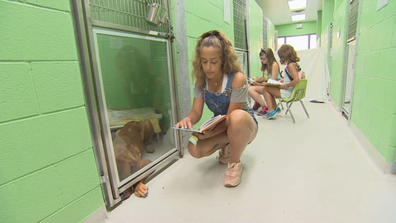 Toronto Humane Society children's reading program goes to the dogs