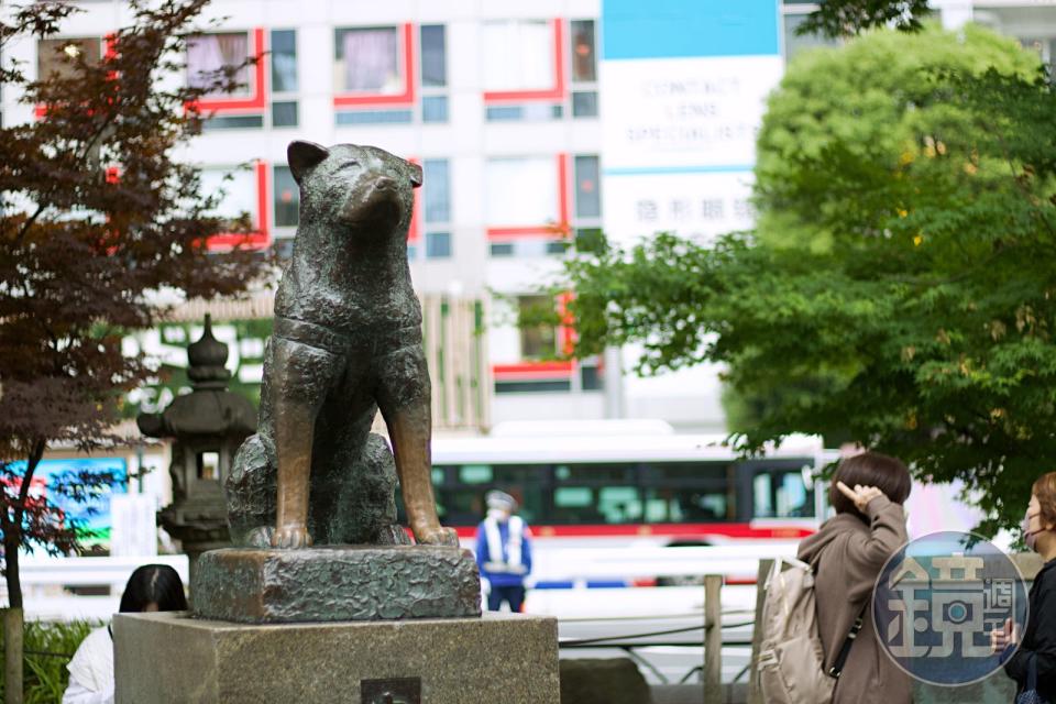 澀谷車站旁的忠犬八公銅像，是許多遊客到訪的必遊景點之一。