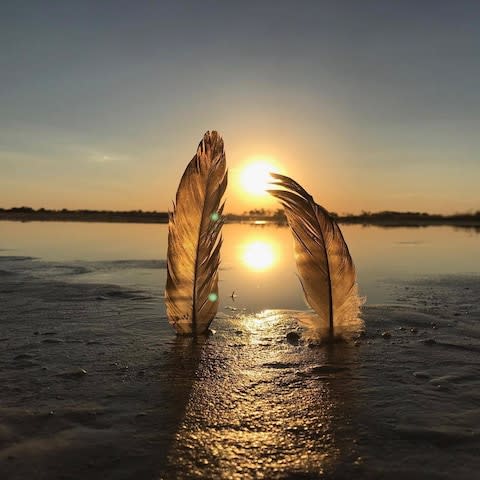 An artistic shot of Botswana’s Okavango Delta - Credit: Duke of Sussex