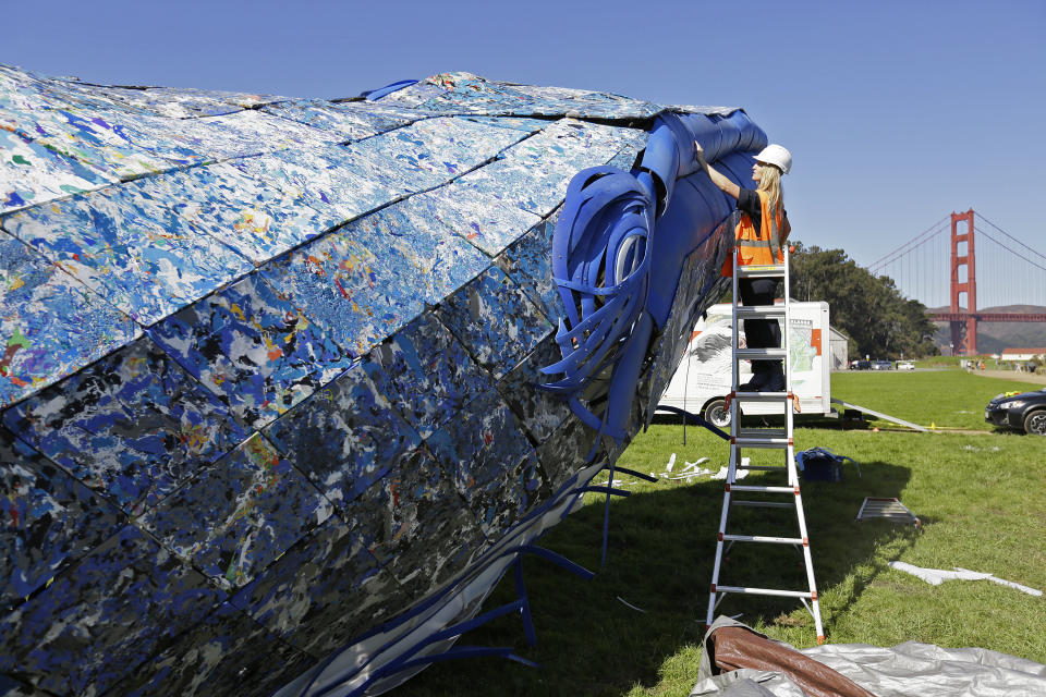 FILE - In this Oct. 12, 2018, file photo, project manager Meredith Winner looks over a blue whale art piece made from discarded single-use plastic being put together at Crissy Field in San Francisco. Artists were putting the finishing touches on the 82-foot-long (24-meter-long) blue whale made from discarded plastic that will be in display near San Francisco's Golden Gate Bridge to raise awareness about ocean pollution. (AP Photo/Eric Risberg, File)