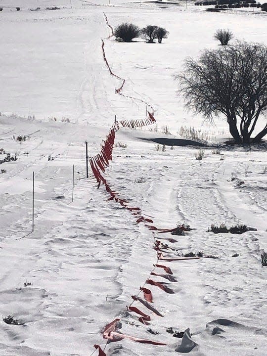 Electric fencing with fabric strips is meant to deter wolves from entering areas with livestock in Colorado, where introduction of more wolves began Monday.