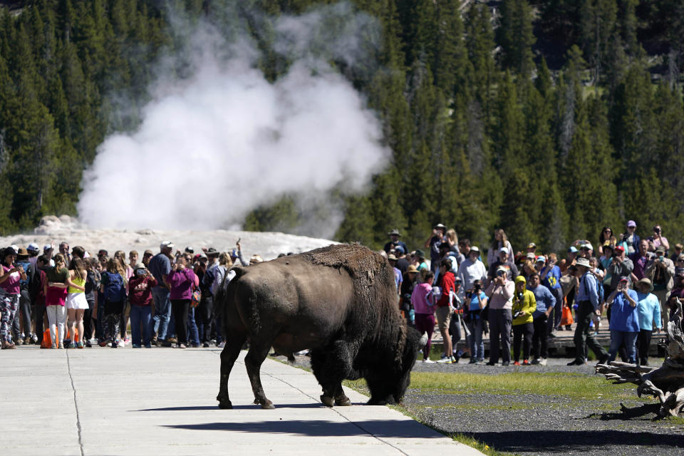 Image: Parts Of Yellowstone National Park Reopen After Historic Flooding (George Frey / Getty Images)