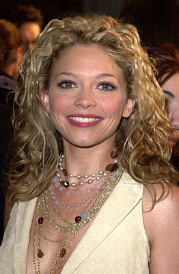 Amanda Detmer at the Mann Village Theater premiere of Columbia's Saving Silverman