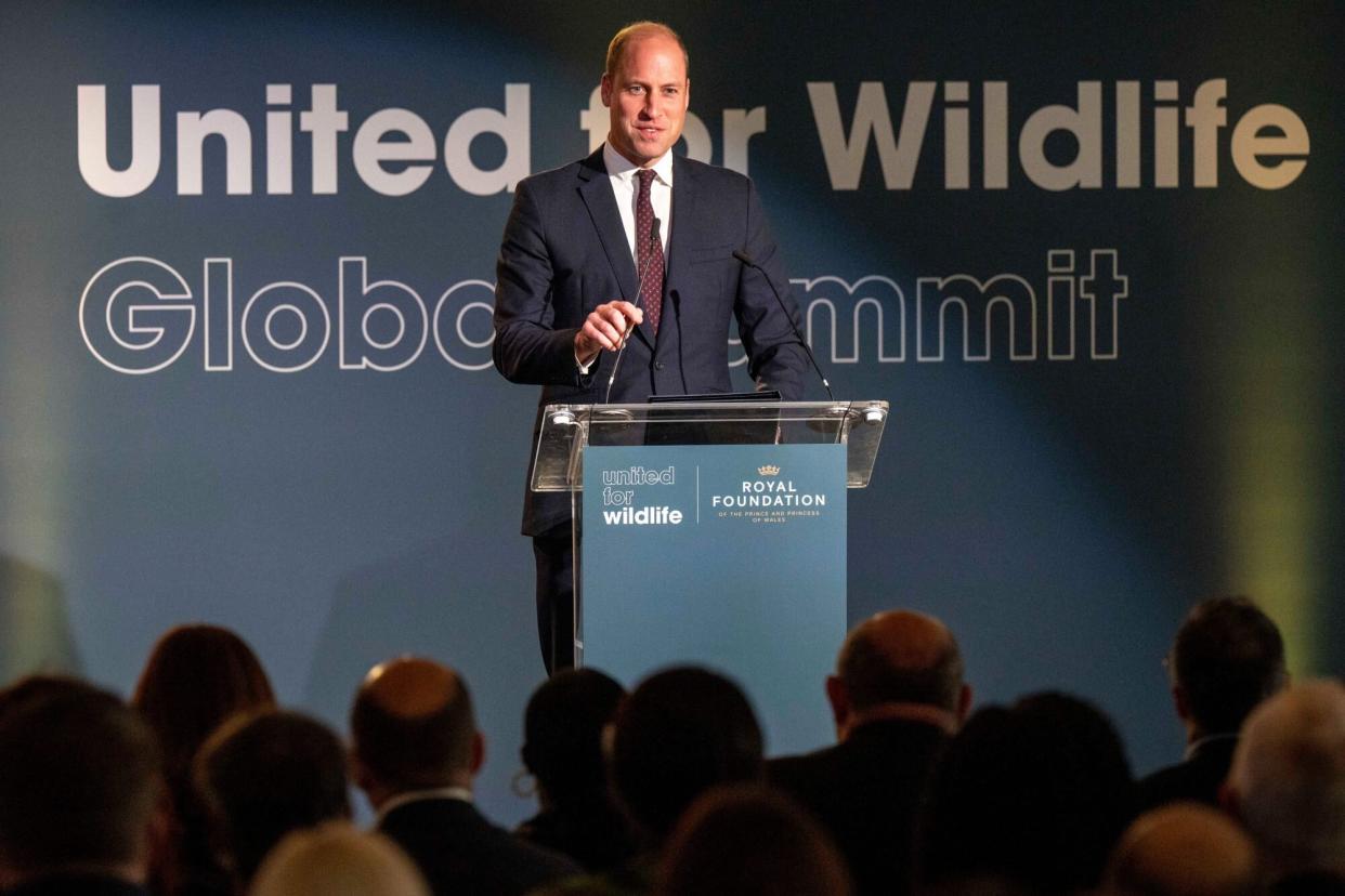 LONDON, ENGLAND - OCTOBER 04: Prince William, Prince of Wales attends the United For Wildlife Summit at Science Museum on October 4, 2022 in London, England. The Prince of Wales delivered a keynote speech highlighting the serious and organised nature of illegal wildlife crime and its damaging impact on global biodiversity and local communities. (Photo by Paul Grover - Pool/Getty Images)