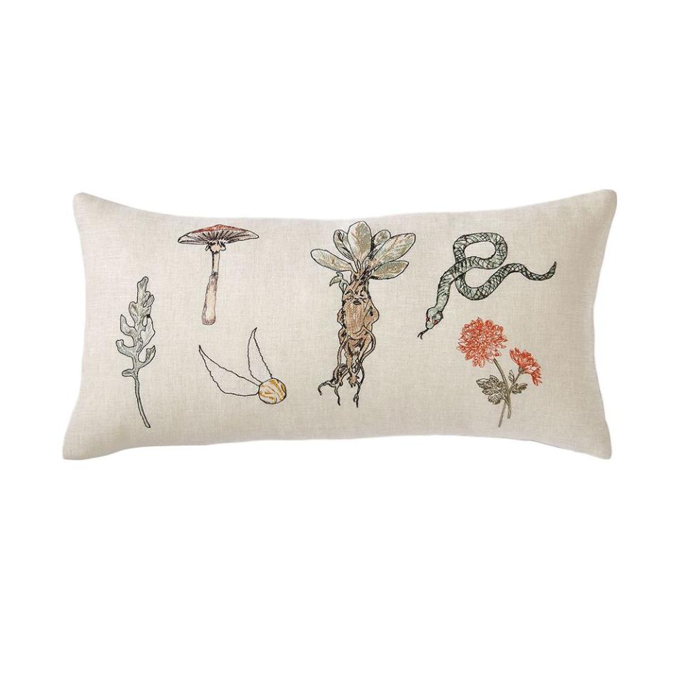 <p><a href="https://go.redirectingat.com?id=74968X1596630&url=https%3A%2F%2Fwww.pbteen.com%2Fproducts%2Fharry-potter-herbology-embroidered-pillow%2F&sref=https%3A%2F%2Fwww.elle.com%2Ffashion%2Fshopping%2Fg45126594%2Fbest-throw-pillows%2F" rel="nofollow noopener" target="_blank" data-ylk="slk:Shop Now;elm:context_link;itc:0;sec:content-canvas" class="link ">Shop Now</a></p><p>Harry Potter Herbology Embroidered Pillow</p><p>pbteen.com</p><p>$49.50</p>