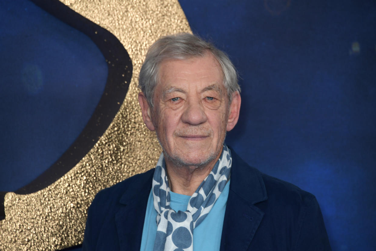 LONDON, ENGLAND - DECEMBER 13:   Sir Ian McKellen attends a photocall for 