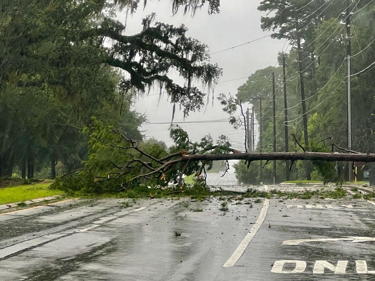 WATCH Tallahassee hunkers down as Hurricane Idalia brings wind, rain