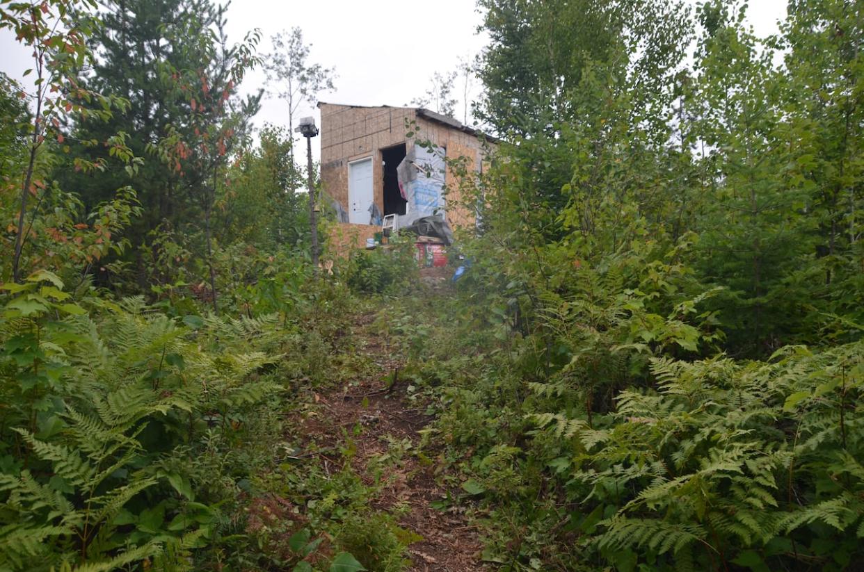 There are now about a dozen cabins and trailers in the northern Ontario wilderness not far off Highway 11, calling itself Swan Lake, including a handful of people who live there year round. (Erik White/CBC  - image credit)