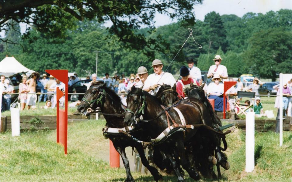 Prince Philip driving a team of the Queen's fell ponies at Sandringham at the AA Championships on July 8, 1991 - Srdja Djukanovic