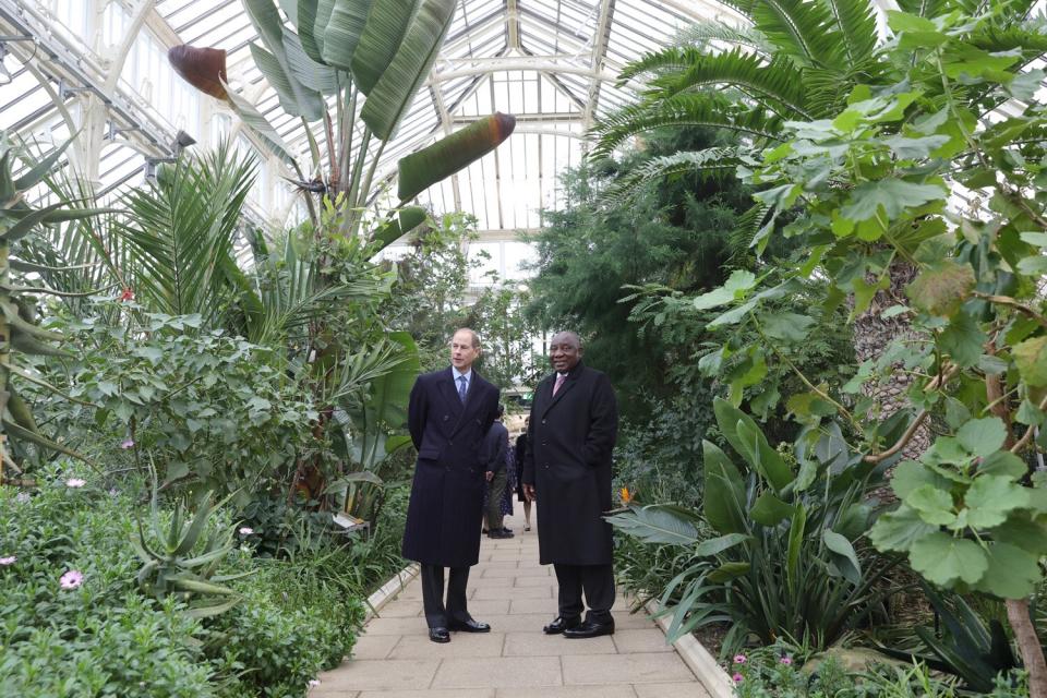 Prince Edward, Earl of Wessex and President of South Africa Cyril Ramaphosa laugh during a visit to the Royal Botanic Gardens, Kew