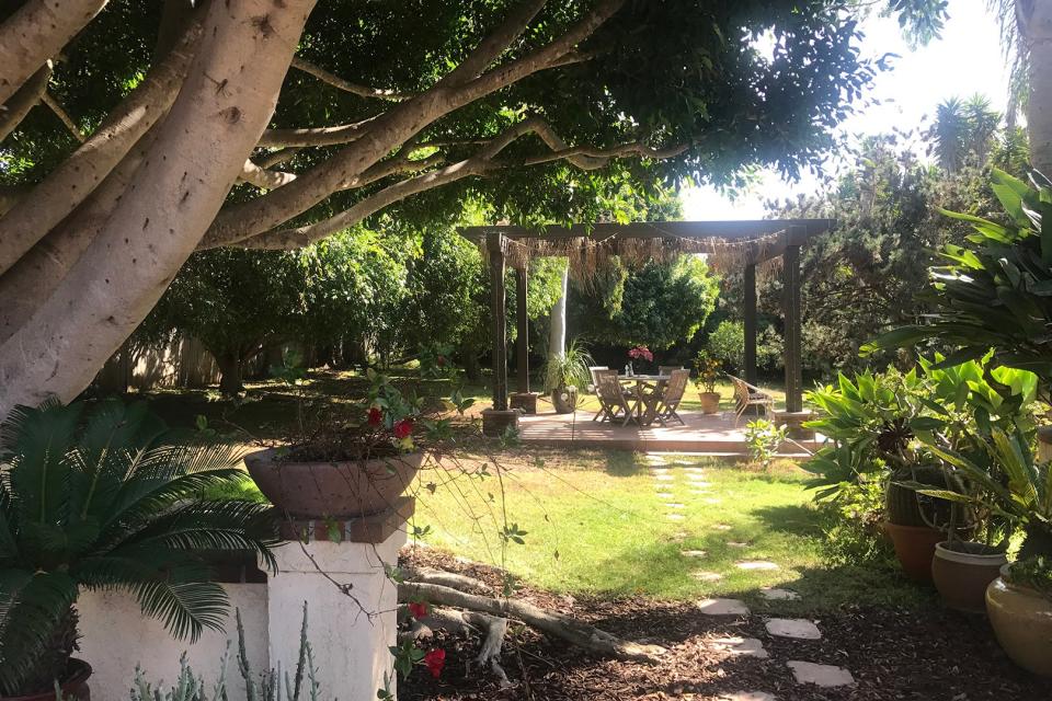 pergola and tree in yard