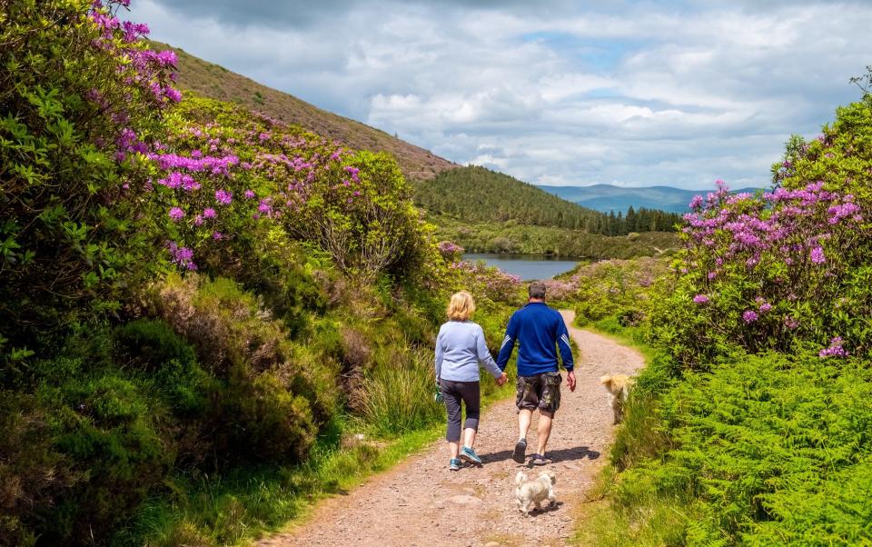 hiking in ireland