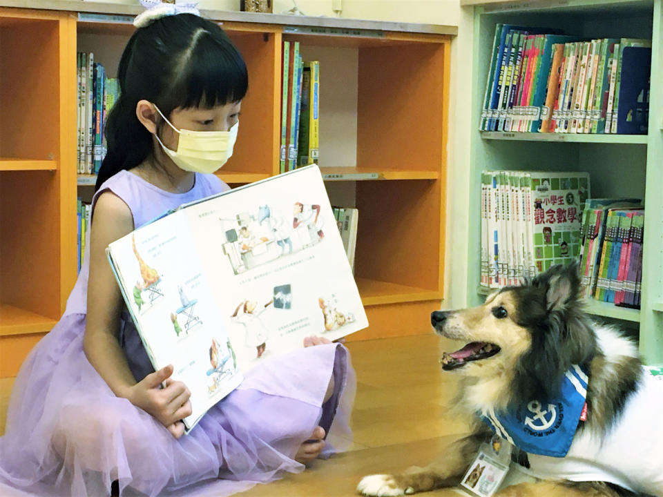 響應10月4日「世界動物日」，全國第一個寵物友善圖書館—新莊裕民分館特別擴大「寵物伴讀」服務，讓小朋友可以在毛小孩的陪伴下享受療癒的閱讀時光，同時培養正確的友善動物觀念。   圖：新北市立圖書館提供