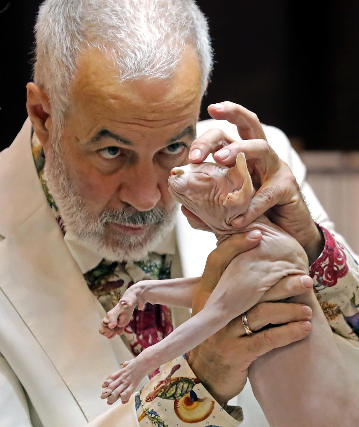 Judge Peter Vanwonterghem of Belgium inspects the facial structure of The Dude Abides of Shoni, owned by Elaine Powell-Ascroft, during the Cat Fanciers' Association International Cat Show and Expo Saturday at the IX Center in Cleveland.