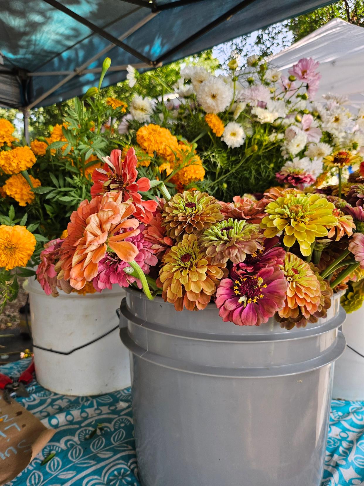 Seasonal flowers from Bellaire Blooms at the Douglass Loop Farmers Market.