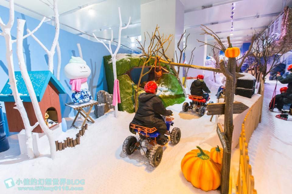 國立臺灣科學教育館（士林科教館）～雪展