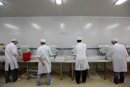 Lab technicians work at a "sex separation area" inside Sun Yat-Sen University-Michigan State University Joint Center of Vector Control for Tropical Disease, the world’s largest "mosquito factory" which breeds millions of bacteria-infected mosquitoes, in the fight against the spread of viruses such as dengue and Zika, in Guangzhou, China July 28, 2016. REUTERS/Bobby Yip