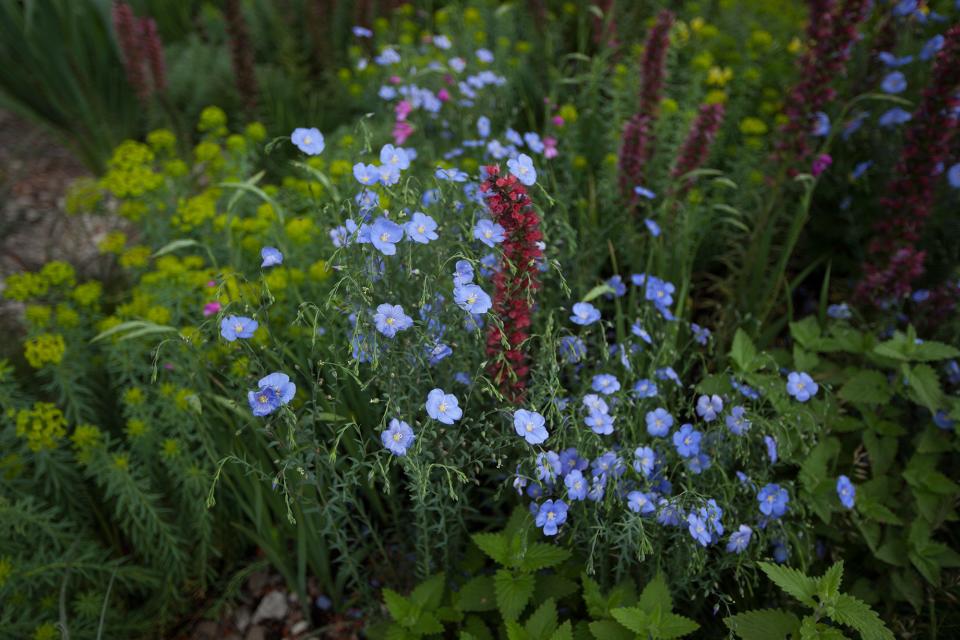 Planting in the gold medal-winning Resilience Garden, which flows from meadow to woodland, damp to dry.