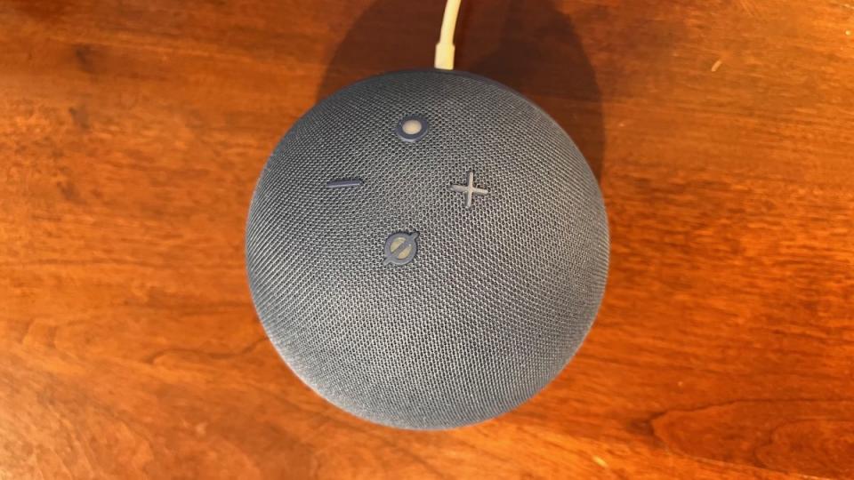 The four control buttons on the top of the Echo Dot.