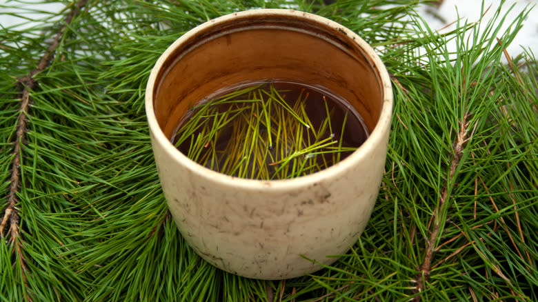 Cup of freshly brewed pine needle tea