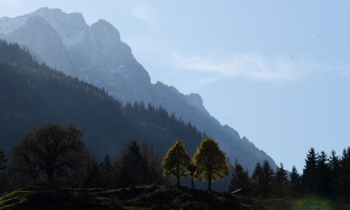 Two trees in front of the Zugspitze mounatin peak