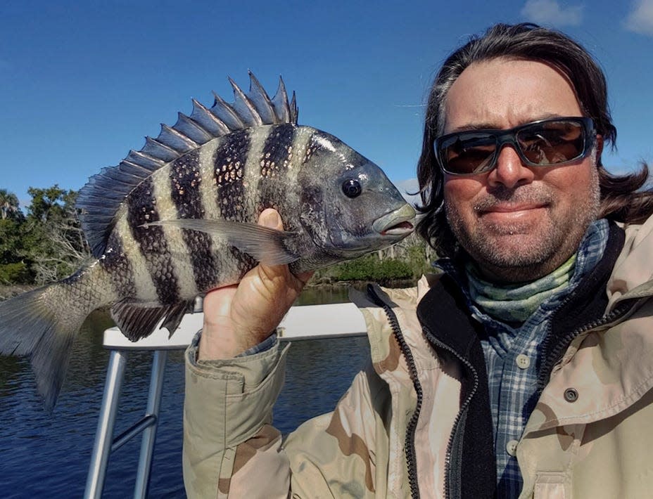 Capt. William Toney, of Homosassa Inshore Fishing Charters, shows off a nice sheepshead he caught on a live shrimp while fishing in the Homosassa River.